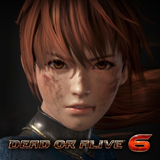 Dead or Alive 6 Last Round