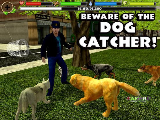 Gameplay Screenshot