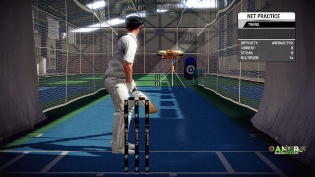 Don Bradman Cricket