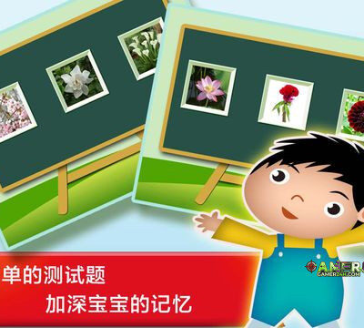 Plant & Flower – Study Chinese Words and Learn Language used in China From Scratch
