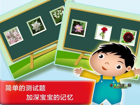 Plant & Flower – Study Chinese Words and Learn Language used in China From Scratch