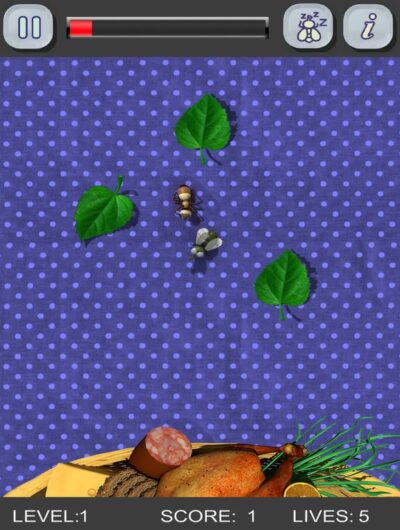 Ants, Flies, … Picnic Bugs
