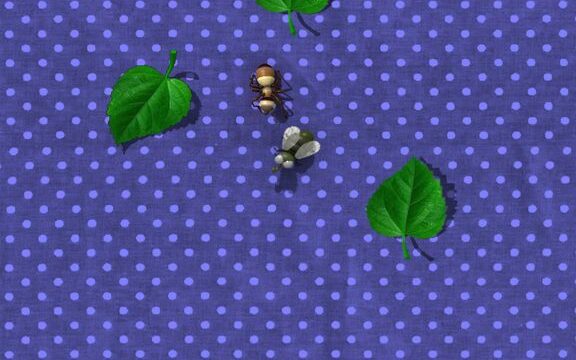 Ants, Flies, … Picnic Bugs