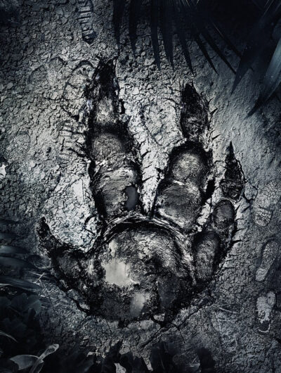 Evolve