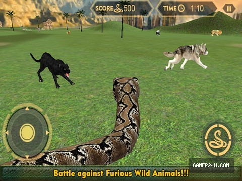Real Anaconda Snake Simulator 3D: Hunt for wolf, bear, tiger & survive in the jungle Screenshot 4