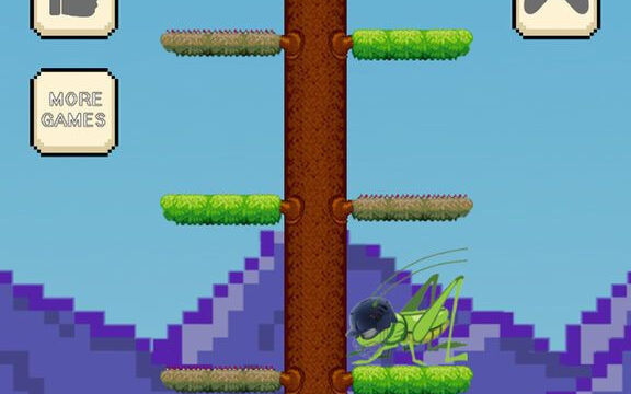 Cricket Jump