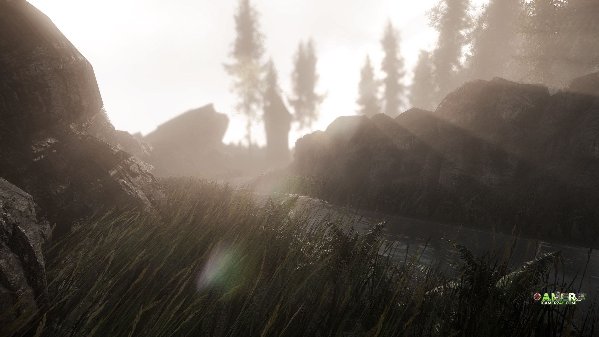 Gameplay Screenshot