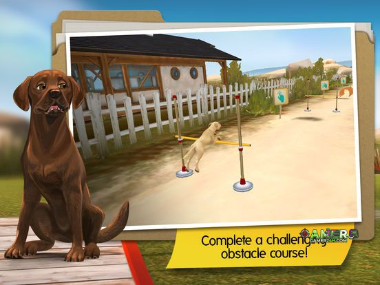Gameplay Screenshot