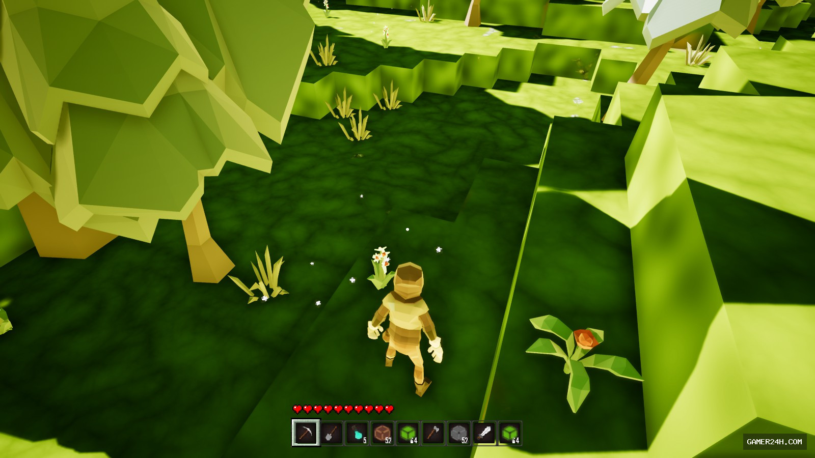 Voxelized - Game Overview & History