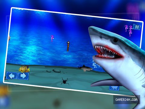 Gameplay Screenshot