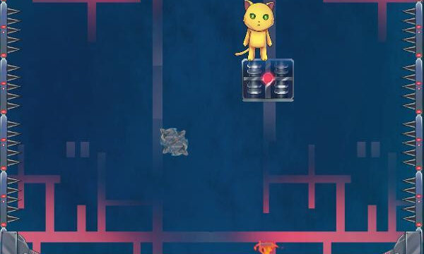 Impussible Kitty: Death Be Not Proud