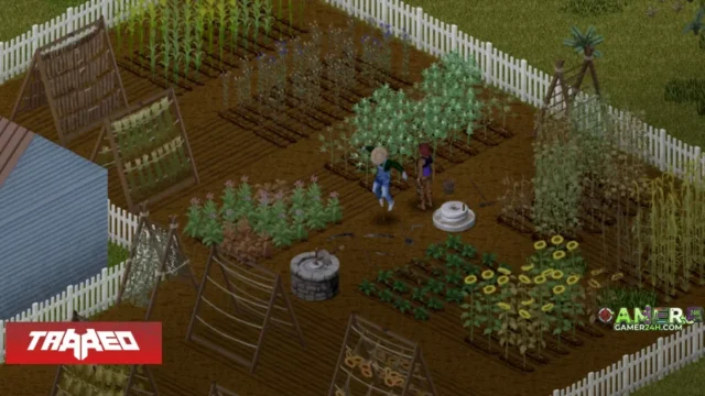 Project Zomboid Unveils Build 42 Beta, Expanding Civilization Rebuild