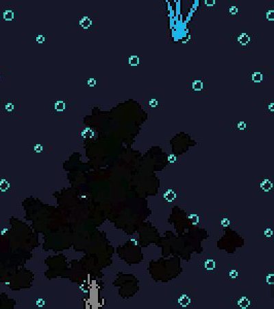 Octopus vs Squid