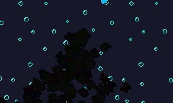 Octopus vs Squid