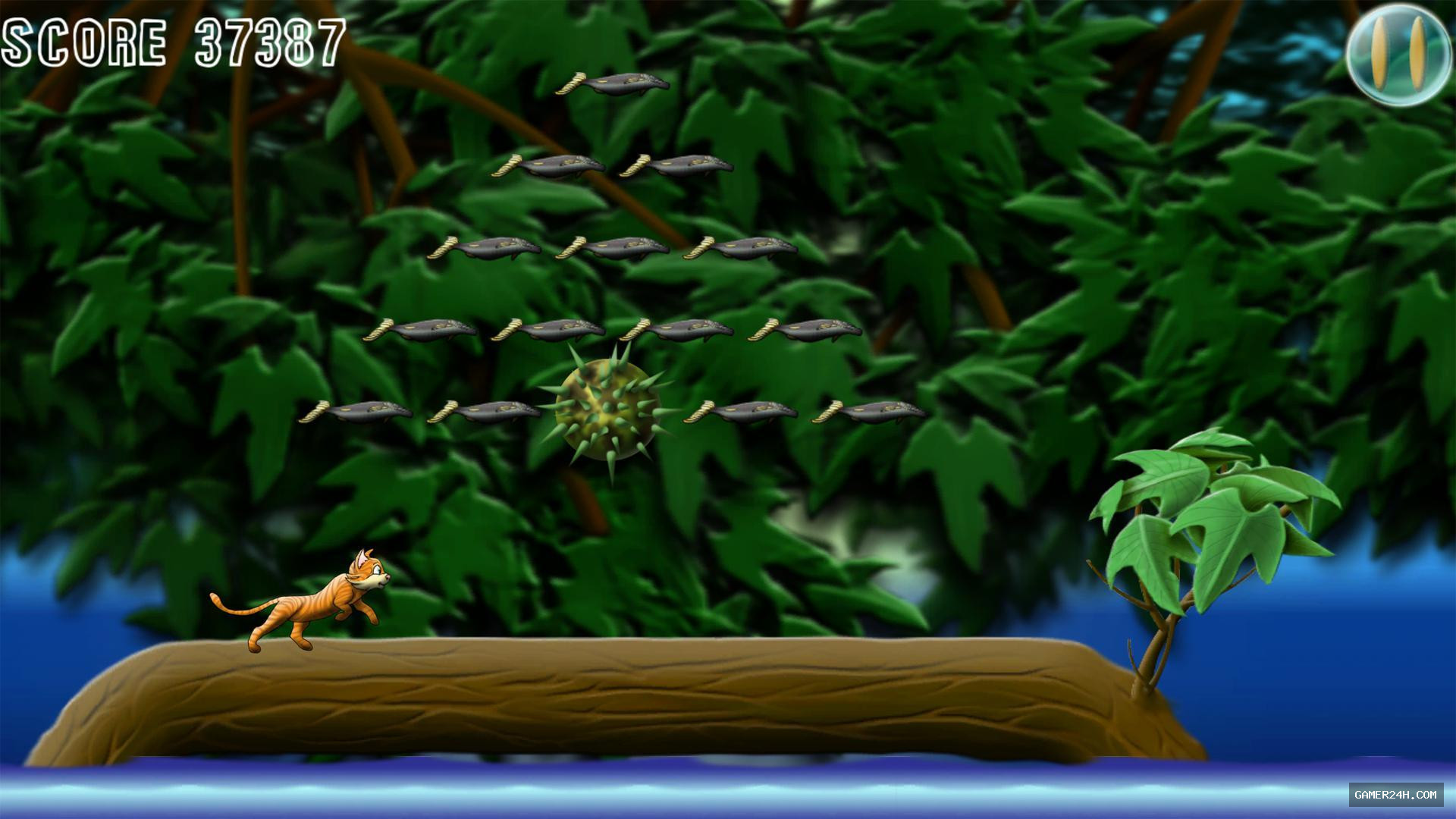 Wet Pussy Free v1.0 Screenshot 3