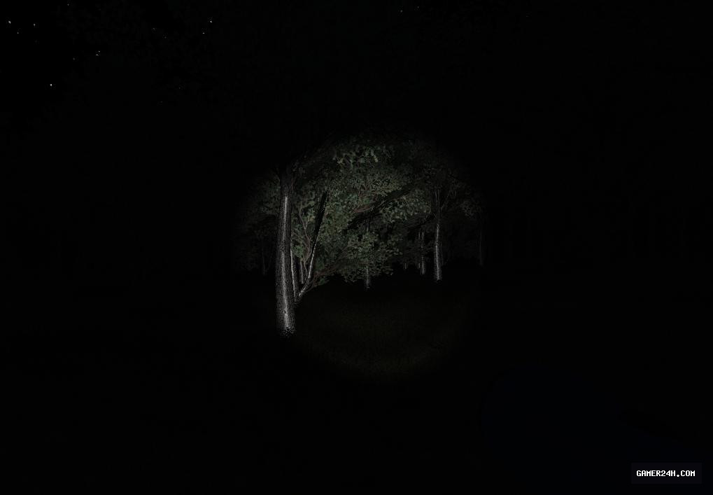 Slender: Strange Forest Screenshot 5