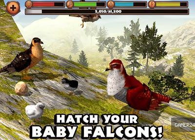 Falcon Simulator