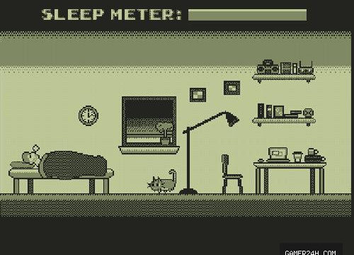 My Garbage Cat Wakes Me Up At 3AM Every Day