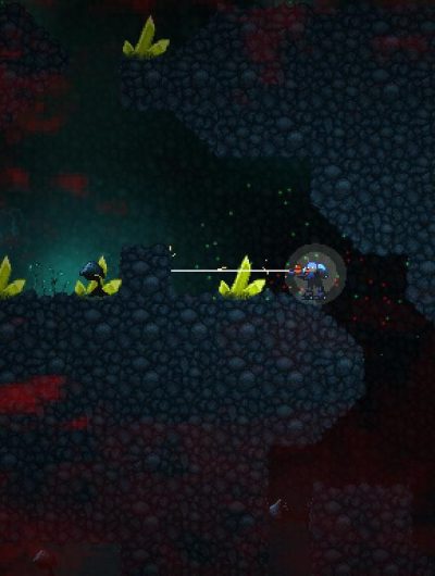 Dispatch: Mushroom Hunt
