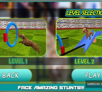 Dog Show Simulator 3D: Train puppies & perform amazing stunts
