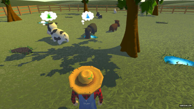Koe Boer