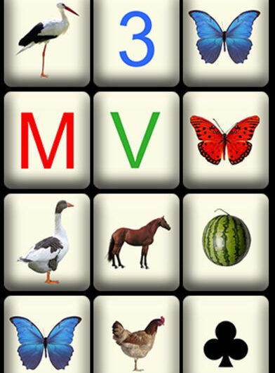 Categorizer