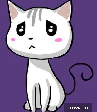 CAT REKT