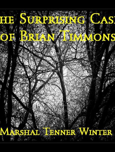 The Surprising Case of Brian Timmons