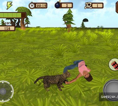 A Catty Cat World