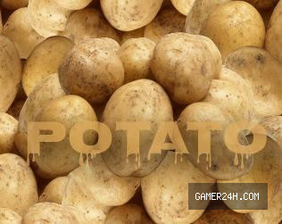 Potato Revenge