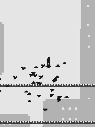 Avian Days