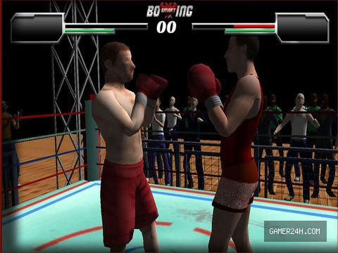 Smart Boxing 3D – Free - Game Overview & History