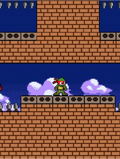 Gravity Ninja Turtle
