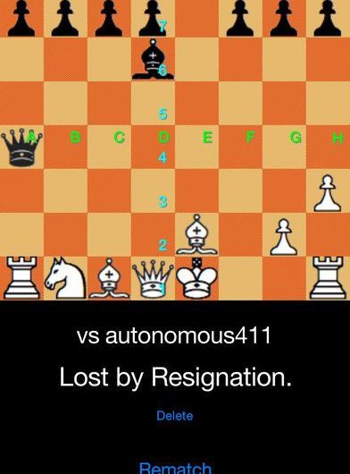 Chess Watch!