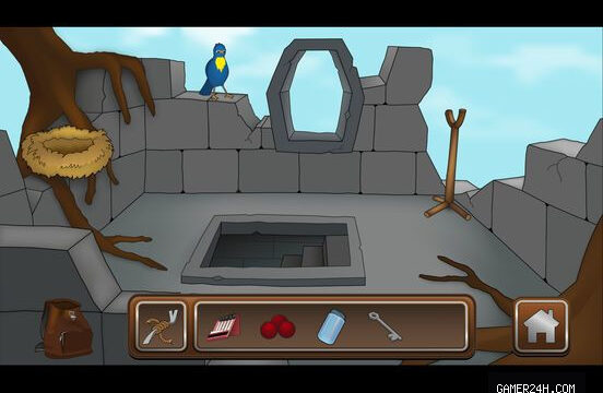 The Forgotten Treasure