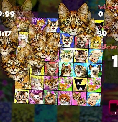 Kittenistry