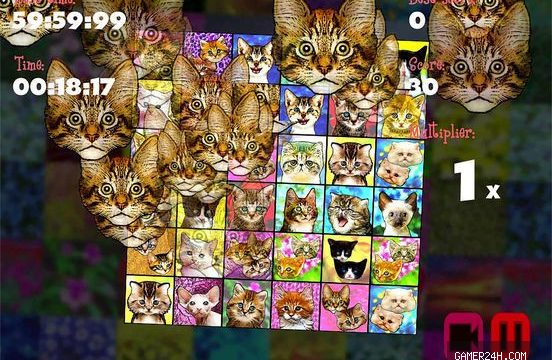 Kittenistry