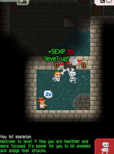 Pixel Dungeon