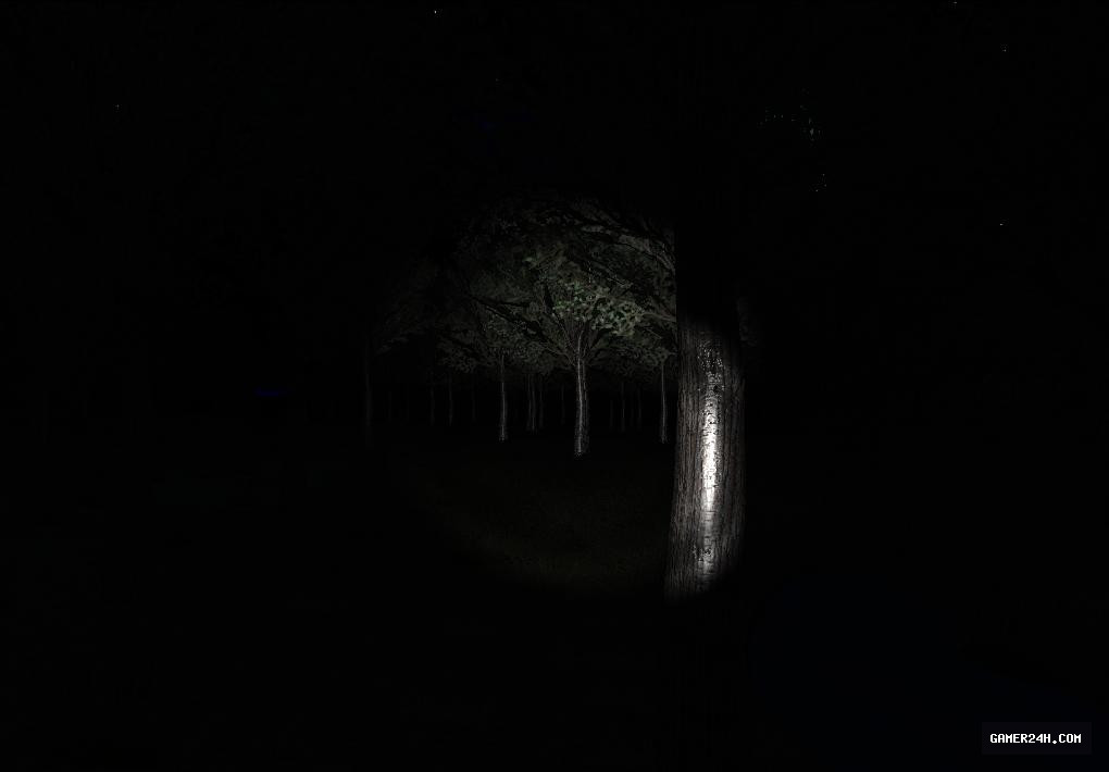 Slender: Strange Forest Screenshot 3