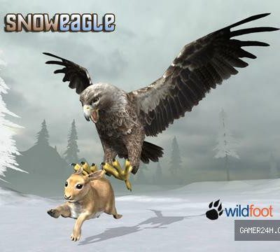 Snow Eagle