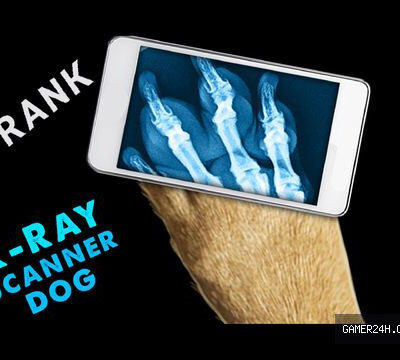 Simulator X-Ray Dog