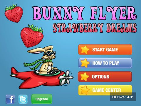 Bunny Flyer - Game Overview & History