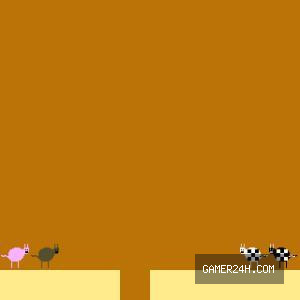 Pigs Vs. Cows