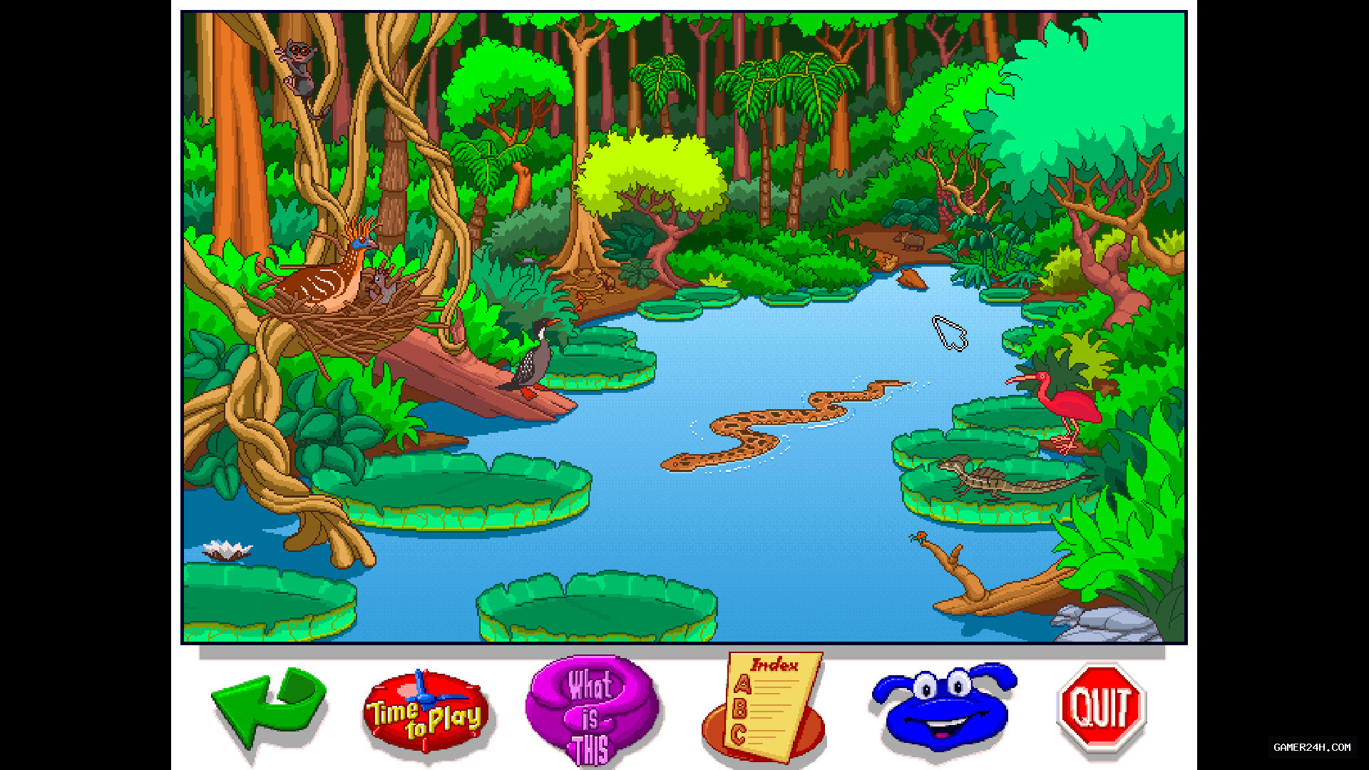 Let’s Explore the Jungle (Junior Field Trips) Official Cover