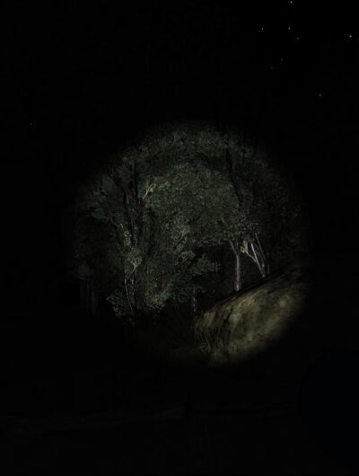 Slender: Strange Forest