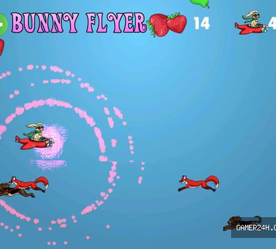 Bunny Flyer