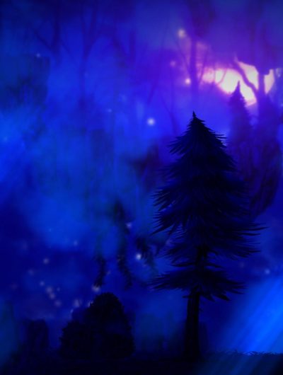 Enchanted Kingdome