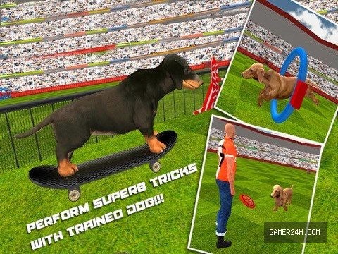 Dog Show Simulator 3D: Train puppies & perform amazing stunts Screenshot 2