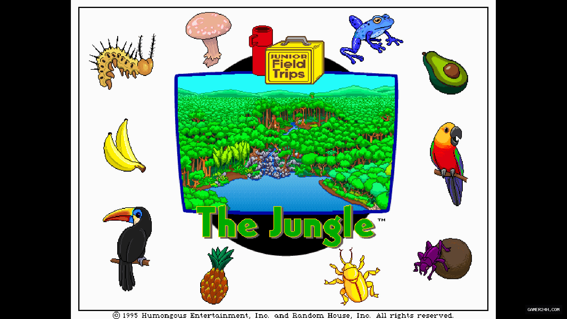 Let’s Explore the Jungle (Junior Field Trips) - Game Overview & History