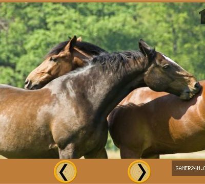 lovely horses for kids – free game